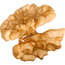 https://www.mayyabakery.co.uk/wp-content/uploads/2017/08/walnut.png